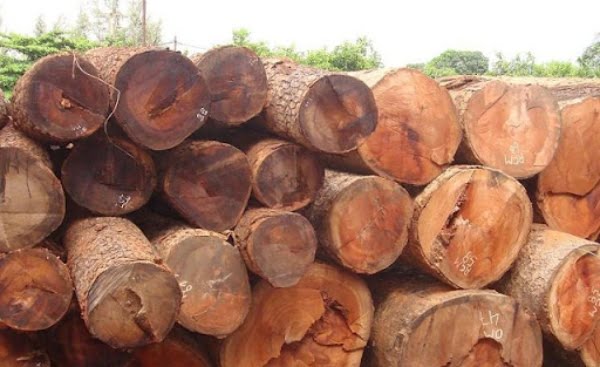 Gỗ gõ đỏ là 1 trong những chất liệu làm bàn ăn tròn xoay đẹp nhất