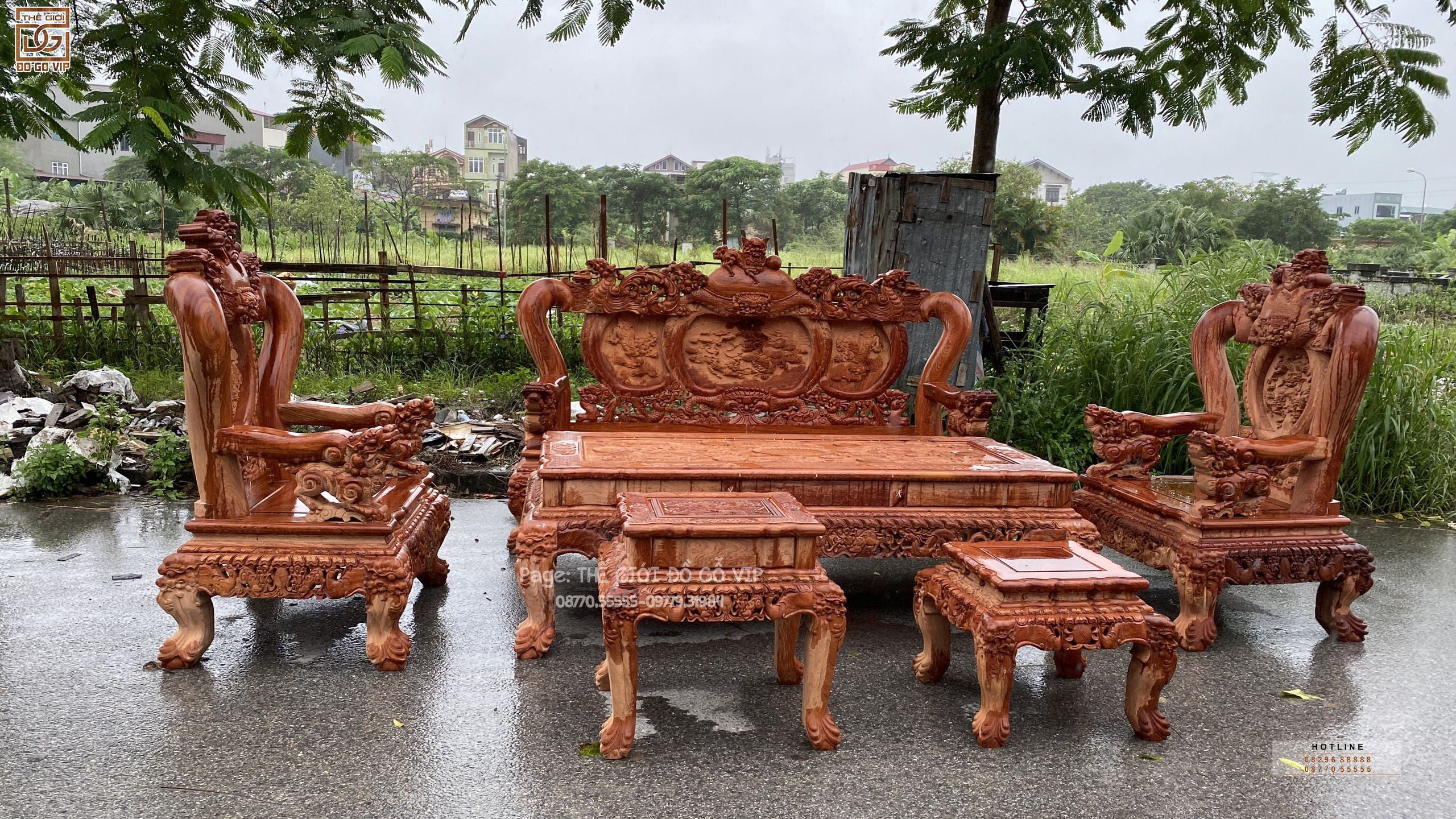 [ NGHÊ BẢO ĐỈNH- HOÀNG GIA HOA HỒNG]