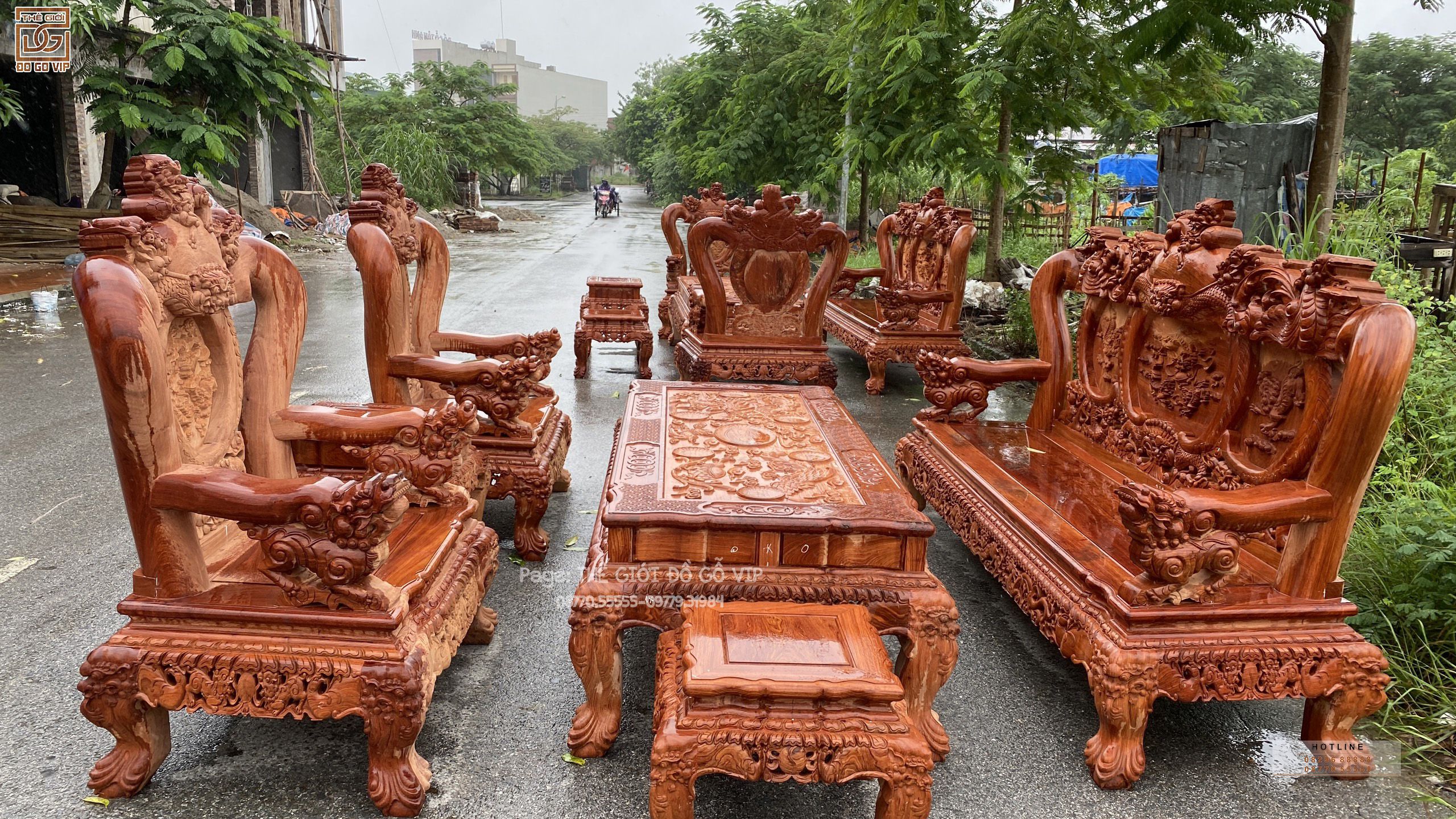 [ NGHÊ BẢO ĐỈNH- HOÀNG GIA HOA HỒNG]