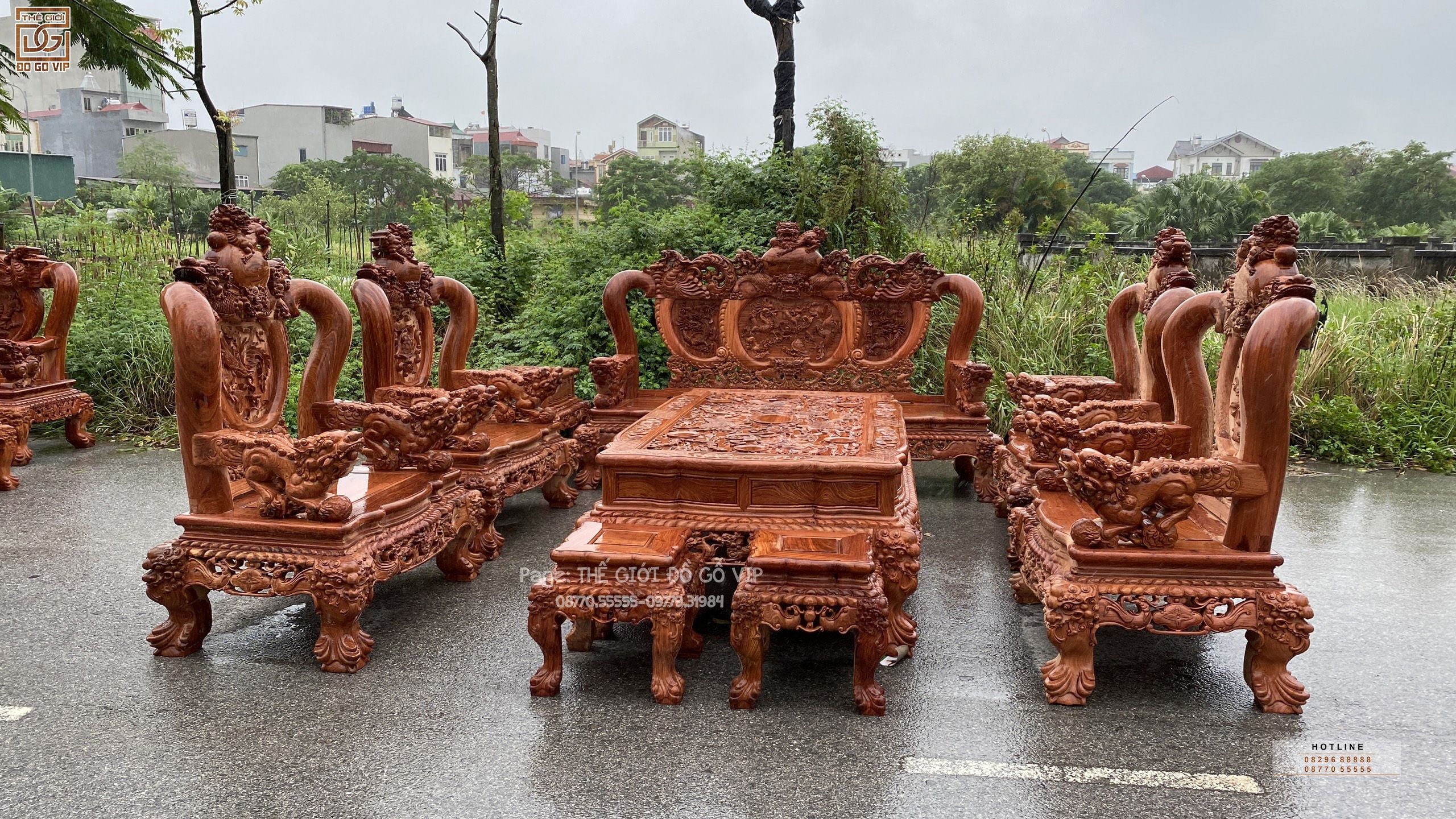 [ NGHÊ BẢO ĐỈNH- HOÀNG GIA HOA HỒNG]