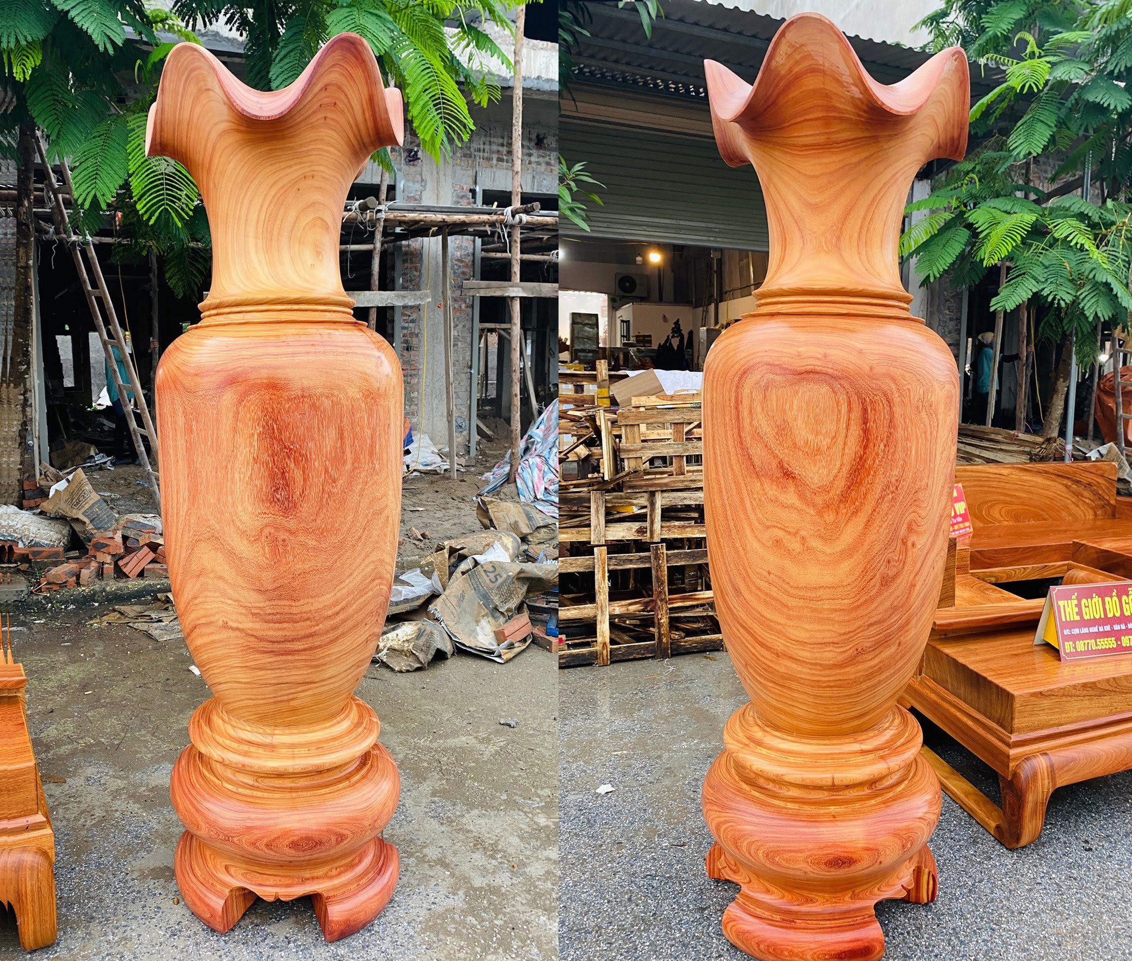 [ Lộc Bình cao 2m về với Tuyên Quang 8/12]