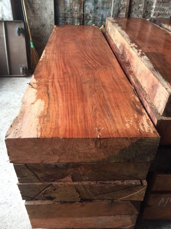 Gỗ hương là loại cây bản địa đến từ các quốc gia Đông Nam Á